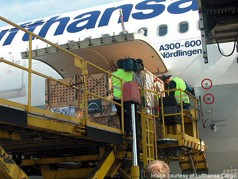 Lufthansa Pet Transport 2025