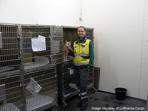 Lufthansa Pet In Cargo 2025