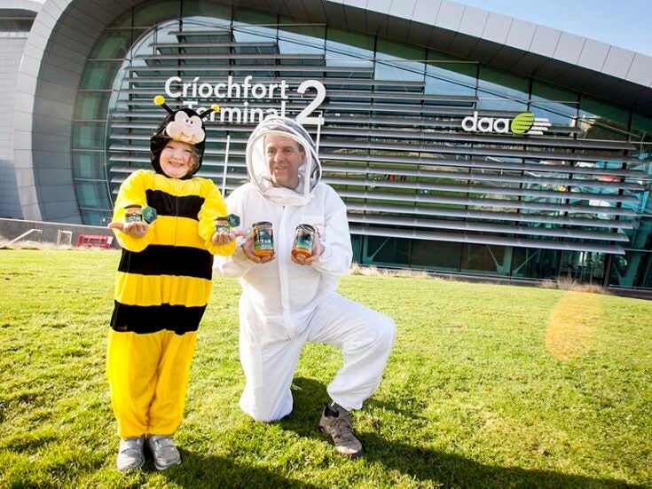 From making honey to restoring wetlands: ecological projects at airports