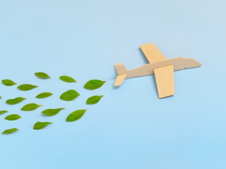 The aviation industry must take action for a carbon net-zero future
