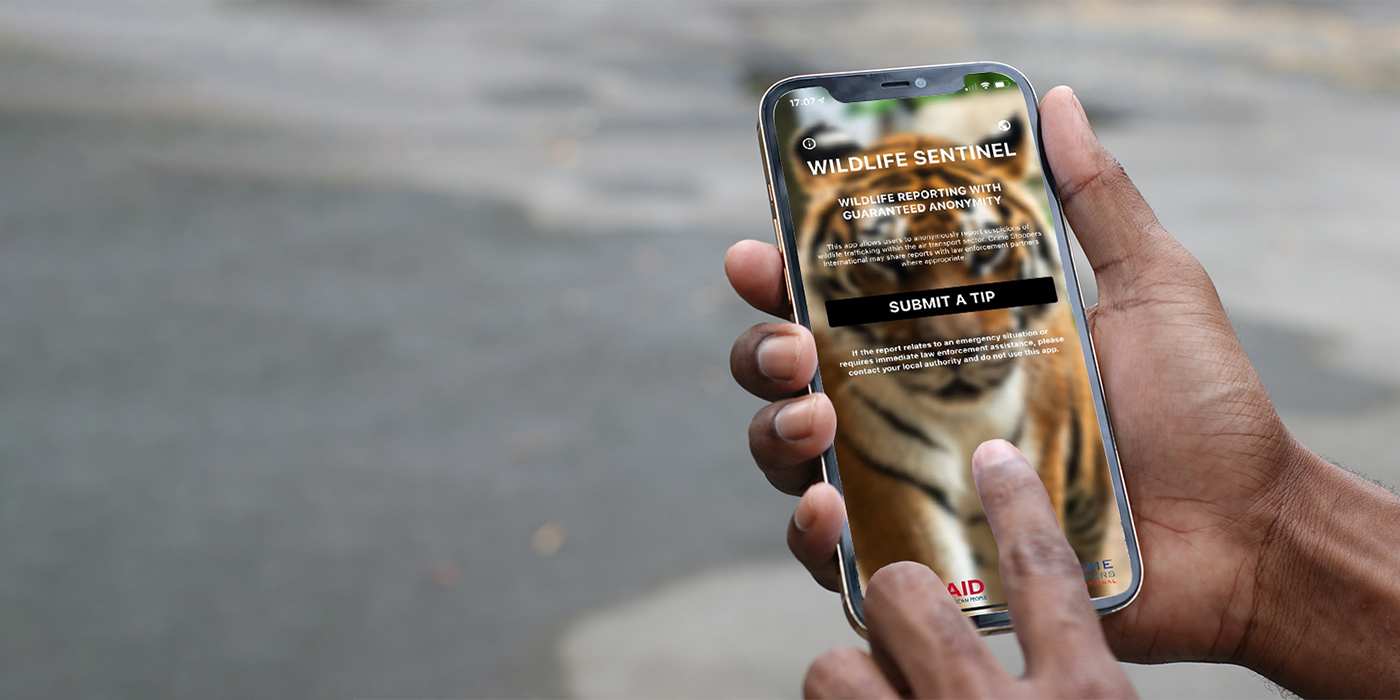 Wildlife Sentinel app aims to combat aviation wildlife smuggling