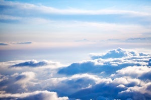 Airbus China Biofuel