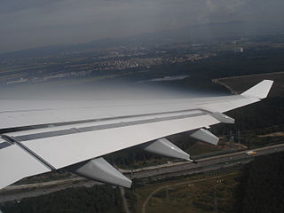 wing